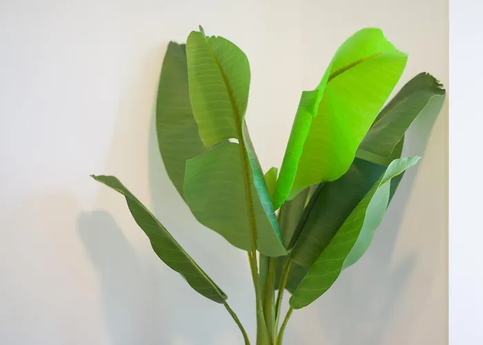 Castle Of Light By Canariasgetaway 別荘 *